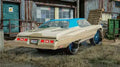 Gold Donk on Blues – Coach's Exotic Customs